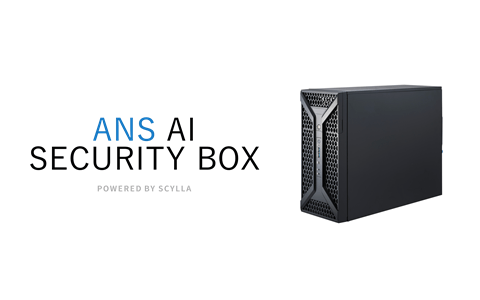 NSAISECURITYBOX